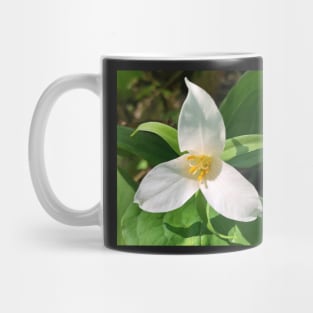 Forest Bathing with the Magical Spring Forest White Trillium Mug